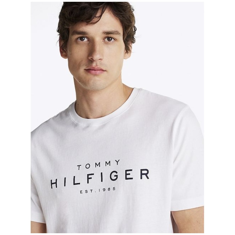 TOMMY HILFIGER big rwb tee
